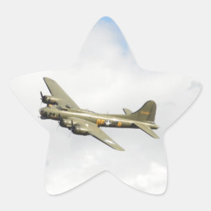 Fliegen-Festung Stern-Aufkleber