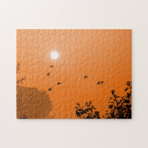 Fliegen im Morgengrauen