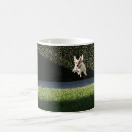 Fliegen-Jack-Russell-Tasse Kaffeetasse