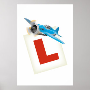 Fliegen lernen poster