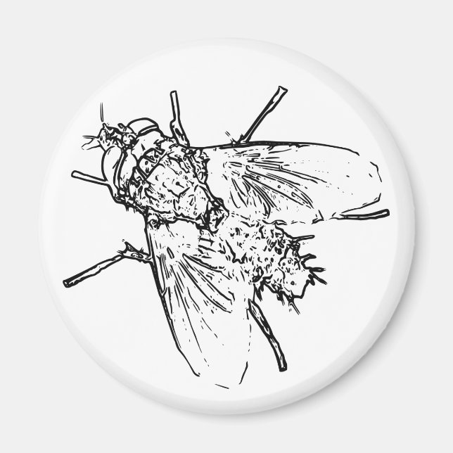 Fliegen Magnet (Vorne)