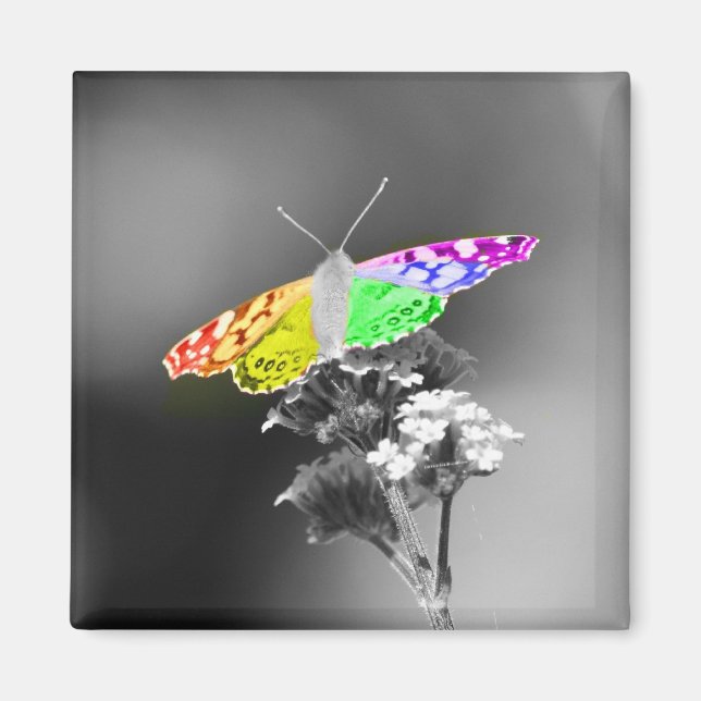 Fliegen mit Stolz Magnet (Vorne)