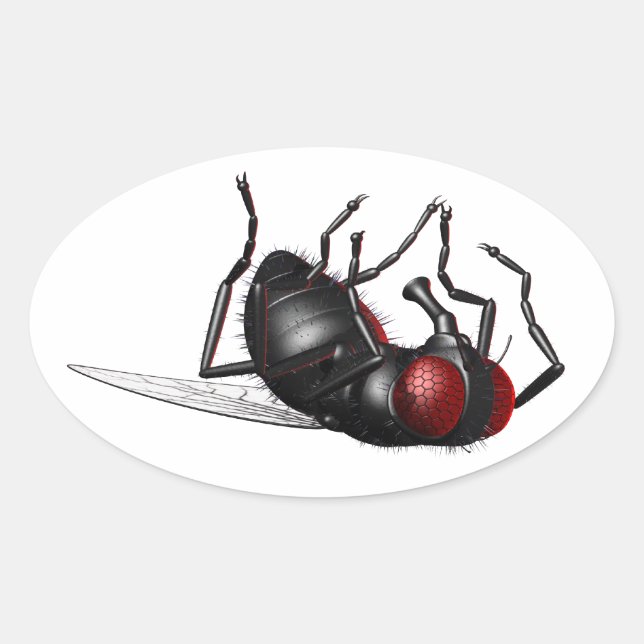 Fliegen Ovaler Aufkleber (Vorderseite)