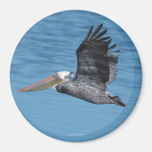 Fliegen-Pelikan-Magnet 8 Magnet