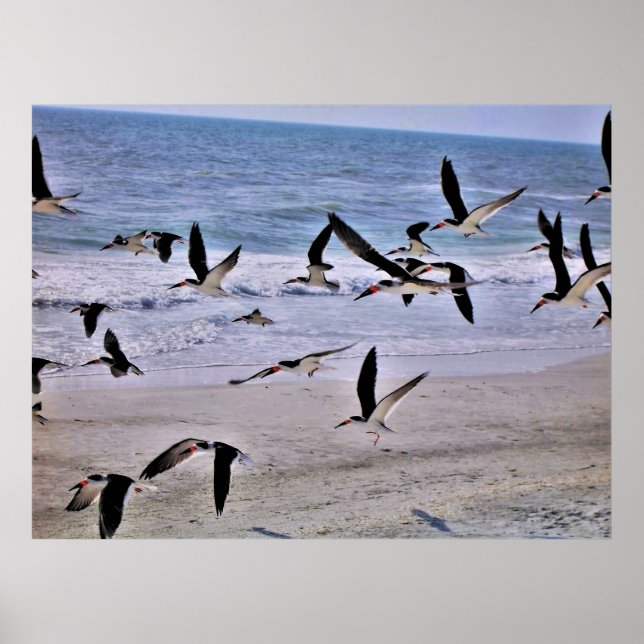 Fliegen Poster (Vorne)