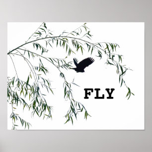 Fliegen Poster