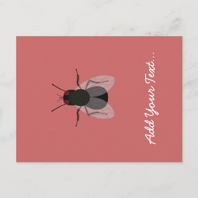 Fliegen Postkarte (Vorderseite)