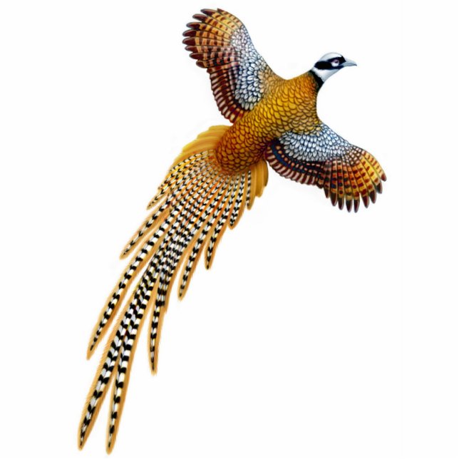 Fliegen-Reeves-Fasan-Verzierung Fotoskulptur Ornament (Vorne)