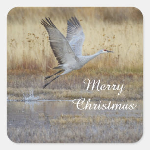 Fliegen Sie mit mir, Frohe Weihnachten Quadratischer Aufkleber