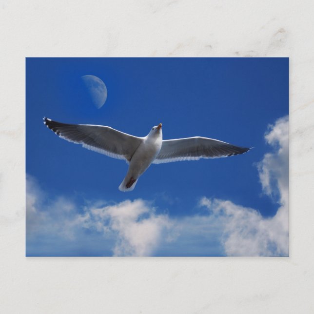 Fliegen Sie mit mir Postkarte (Vorderseite)