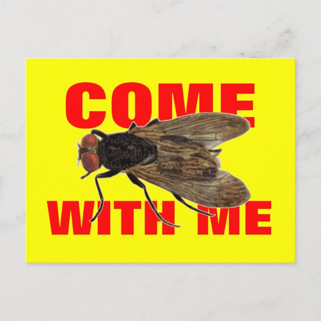 Fliegen Sie mit mir Postkarte (Vorderseite)