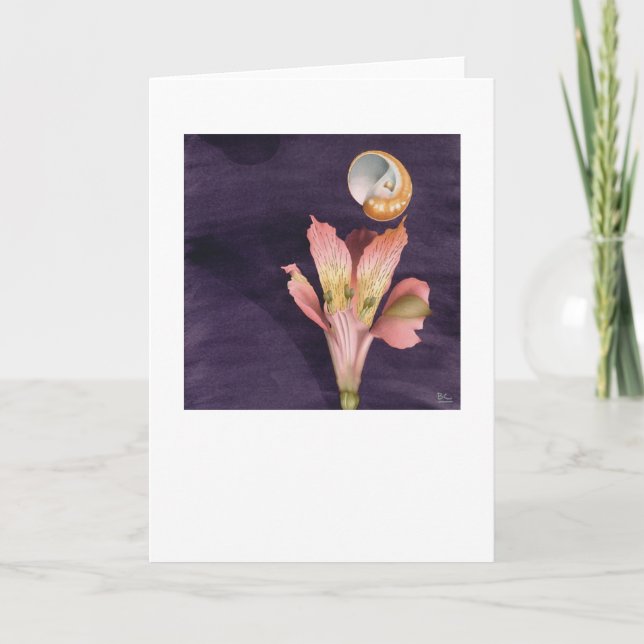 Fliegen sternenklar karte (Vorderseite)