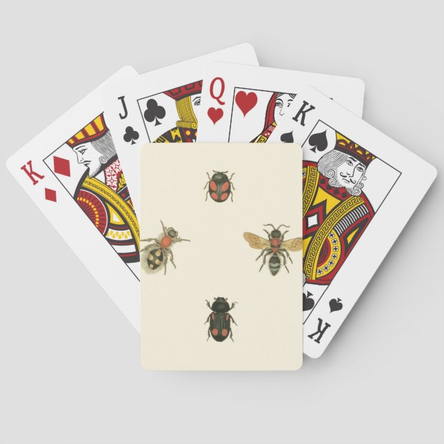 Fliegen und Käfer durch Visions-Studio Spielkarten (Rückseite)