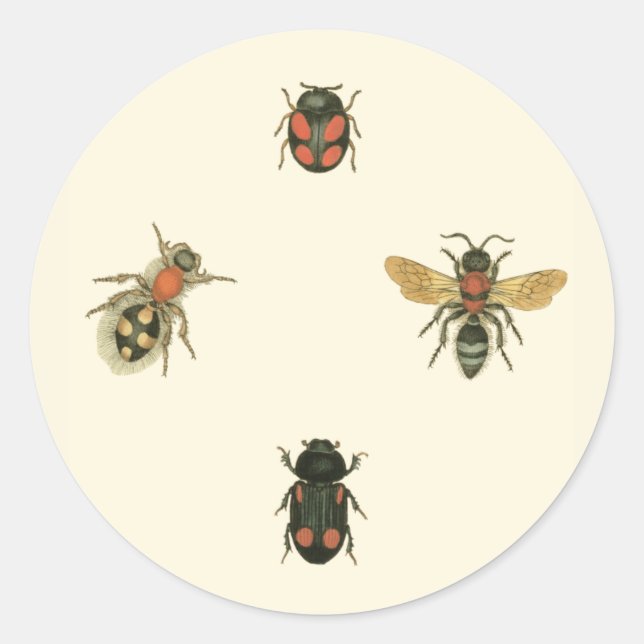 Fliegen und Käfer von Vision Studio Runder Aufkleber (Vorderseite)