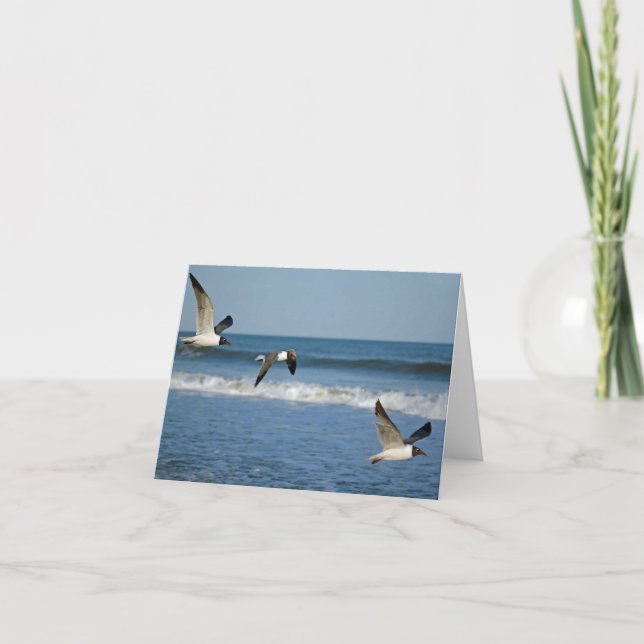 Fliegen weg/ Note card Karte (Vorderseite)
