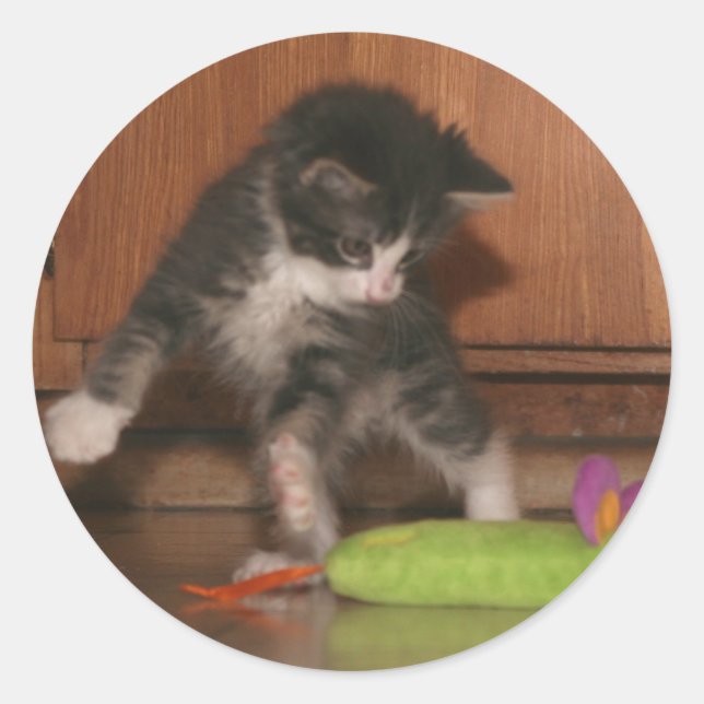 Fliegenangriff Runder Aufkleber (Vorderseite)