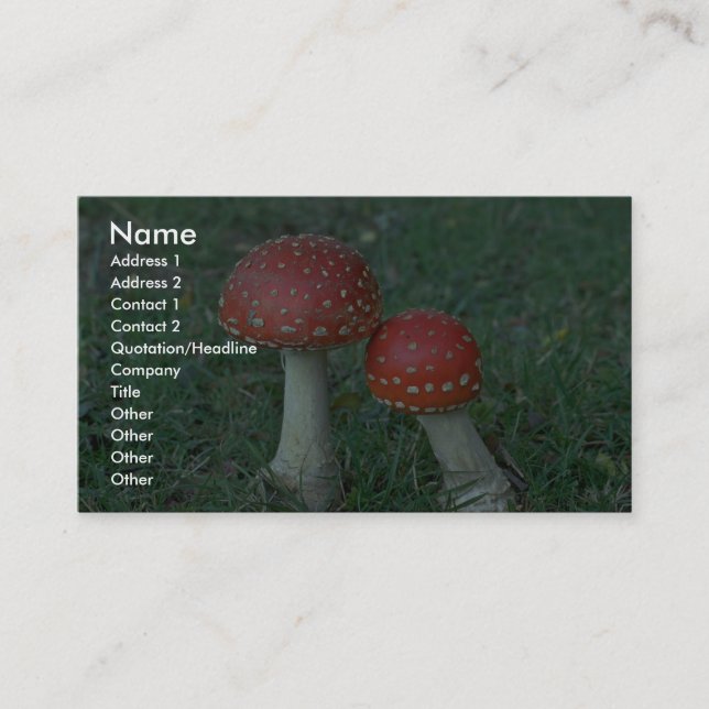 Fliegenblätterpilze (Wulstling muscaria) Visitenkarte (Vorderseite)