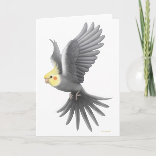 Fliegencockatiel-Karte Karte (Vorderseite)
