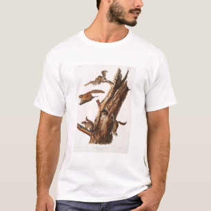 Fliegende Eichhörnchen Camping Gear Deko Geschenke T-Shirt