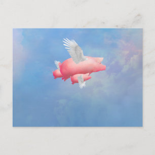 Fliegende Ferkel Postkarte