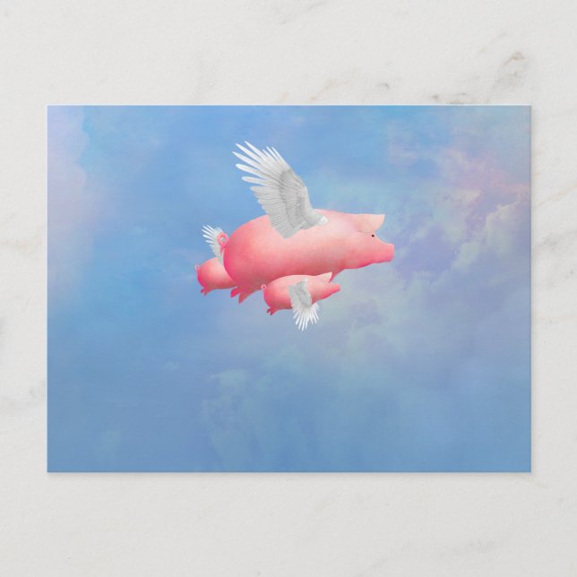 Fliegende Ferkel Postkarte (Vorderseite)
