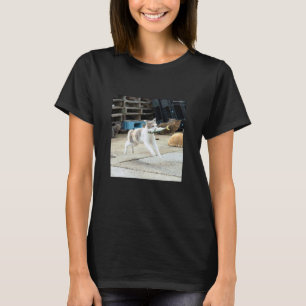 fliegende Katze mit Fisch_001 T-Shirt