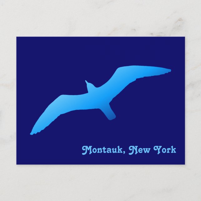 Fliegende Möwe Postkarte (Vorderseite)