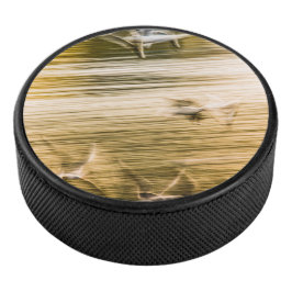 Fliegende Möwen - abstrakt Eishockey Puck