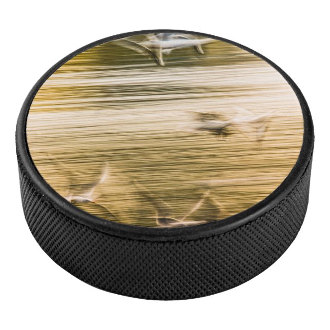 Fliegende Möwen - abstrakt Eishockey Puck (3/4)