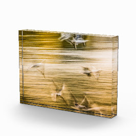 Fliegende Möwen - abstrakt Fotoblock