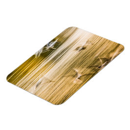 Fliegende Möwen - abstrakt Magnet