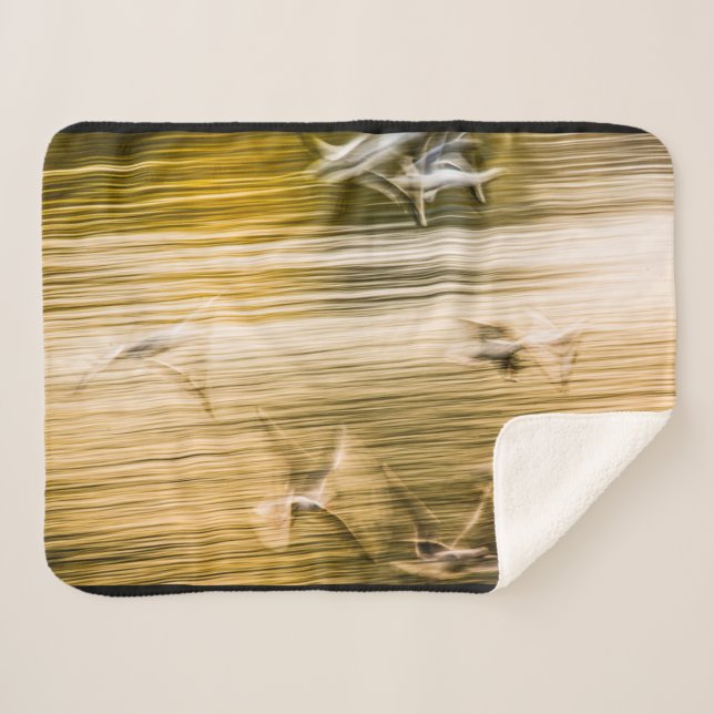 Fliegende Möwen - abstrakt Sherpadecke (Vorderseite (Horizontal))