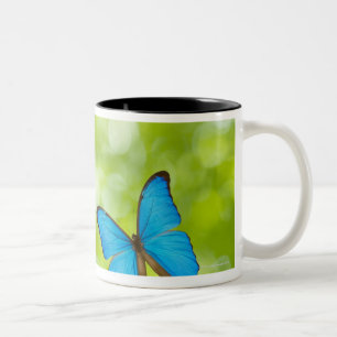 Fliegende Schmetterlinge, Digital-Zusammensetzung Zweifarbige Tasse
