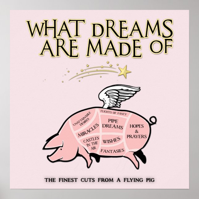 Fliegende Schweine - Weltraume werden gemacht Poster (Vorne)