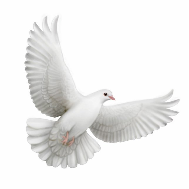 Fliegende Tauben-Verzierung Fotoskulptur Ornament (Vorne)