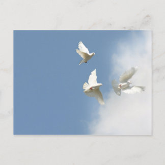 Fliegende weiße Tauben Postkarte