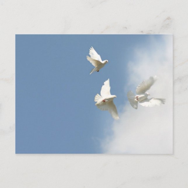 Fliegende weiße Tauben Postkarte (Vorderseite)