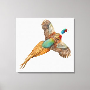 Fliegende wilder Ringneck Fasan eingewickelte Leinwanddruck