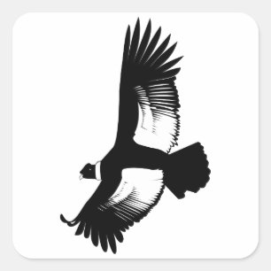 Fliegender Andenkondor Quadratischer Aufkleber