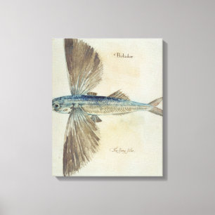 Fliegender Fisch Leinwanddruck