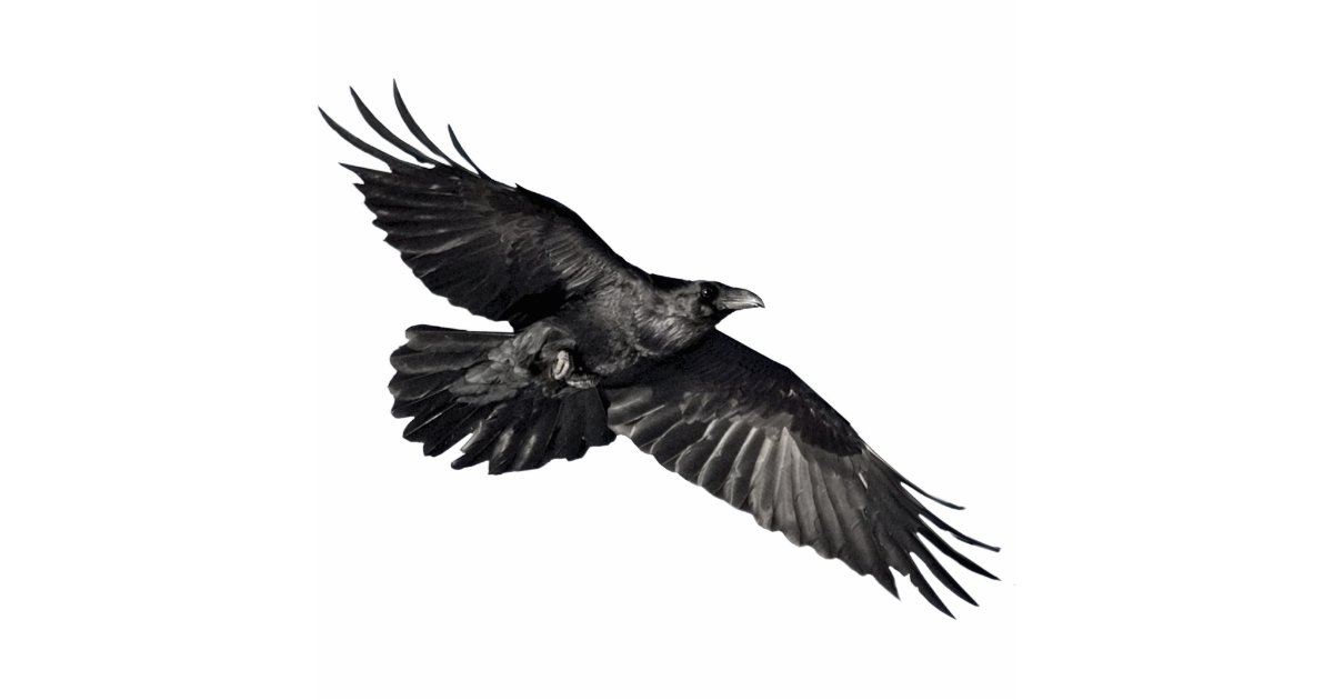 FLIEGENDER SCHWARZER RABE (gemeißelter)