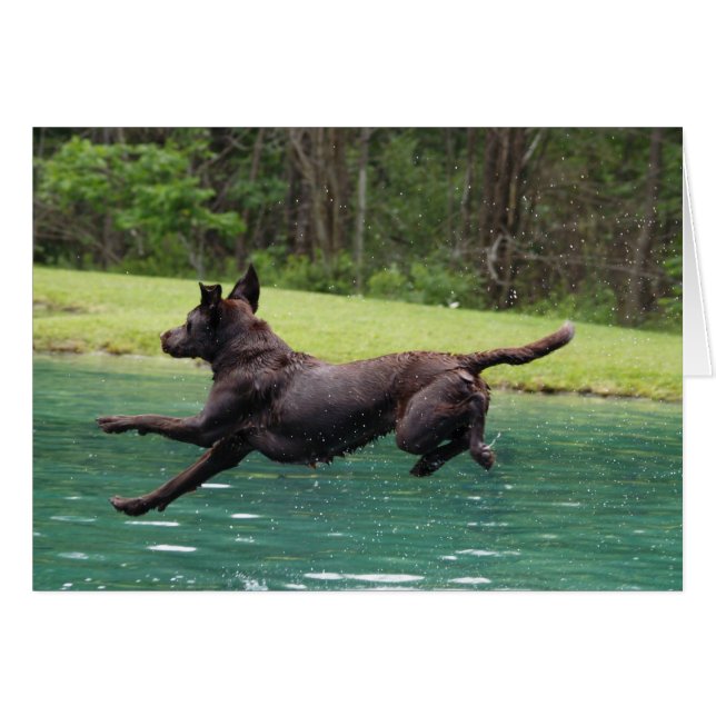 Fliegender Sprung! (Vorderseite (Horizontal))