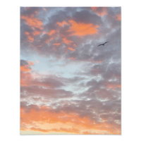 Fliegender Vogel in rosa Wolken Fotoabzug