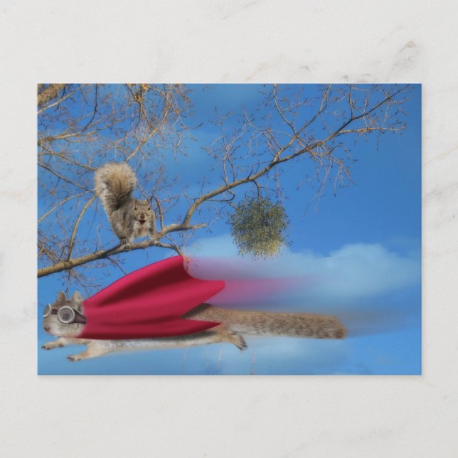 Fliegendes Eichhörnchen Postkarte (Vorderseite)