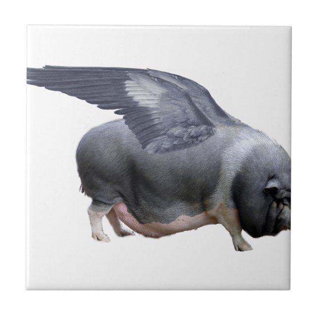 fliegendes Schwein Fliese (Vorderseite)