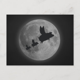 fliegendes Schwein und Ferkel über Vollmond Postkarte