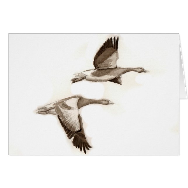 Fliegenganszeichnen (Vorderseite (Horizontal))