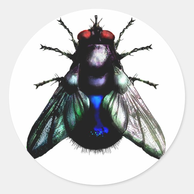 Fliegenkleber Runder Aufkleber (Vorderseite)
