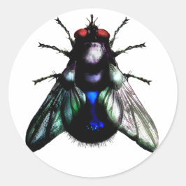Fliegenkleber Runder Aufkleber