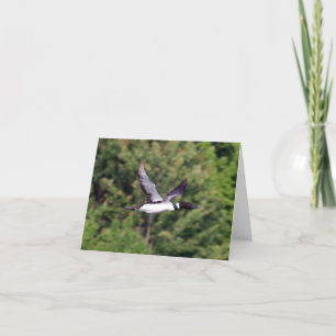 FliegenLoon Notecard Karte